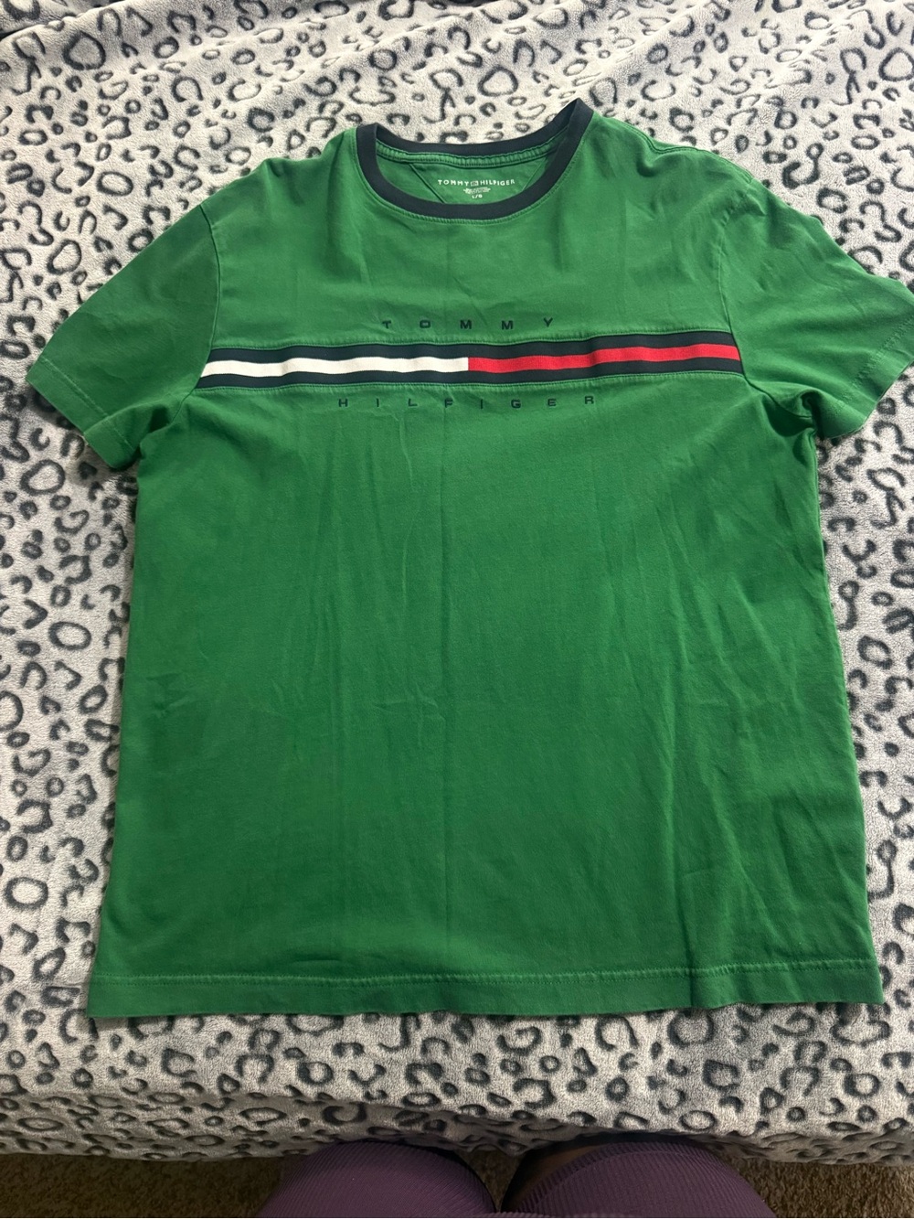 Tommy Hilfiger Green Short Sleeve Crewneck Tee with Stripe Detail